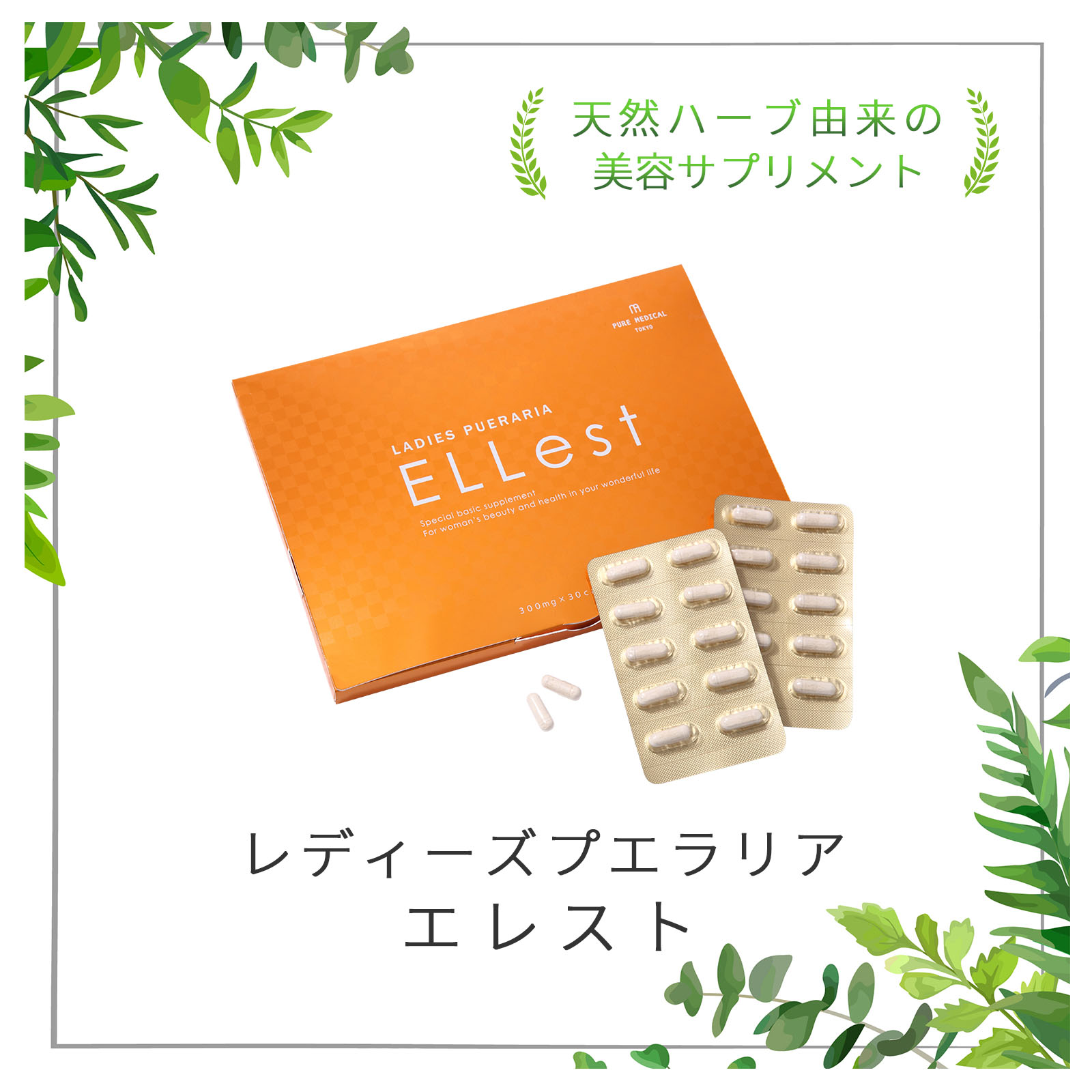 Ellest エレスト Point Three 株式会社ポイントスリー Ellest エレスト Point Three 株式会社ポイントスリー